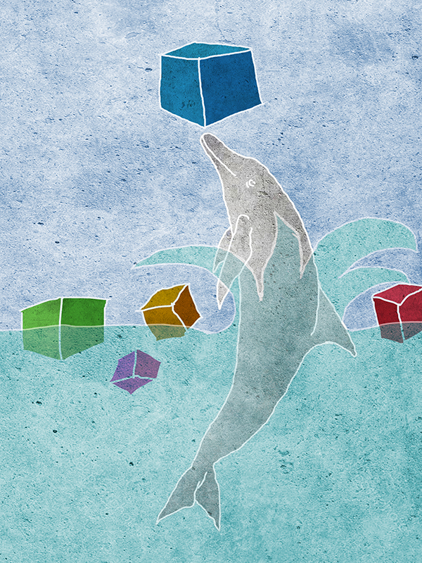 SDG Dolphin