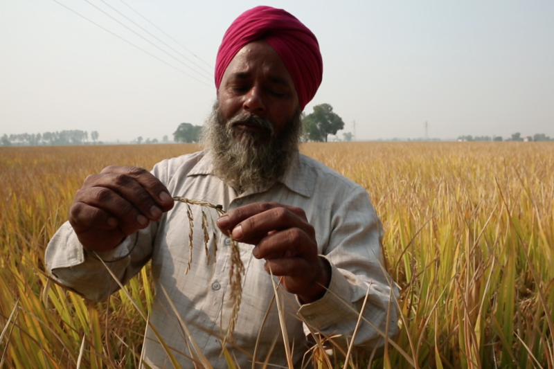 Punjab